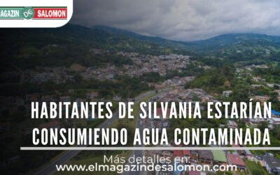 ‘Marranera’ estaría contaminado el agua en Silvania