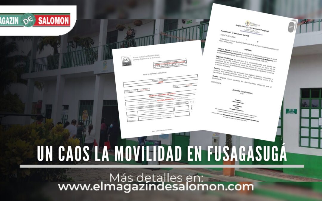 Acción de tutela contra la movilidad en fusagasugá