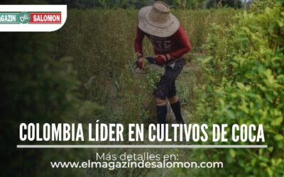 Colombia batió récords en cultivos de coca