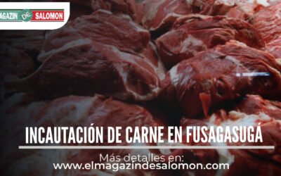 Cárnicos en mal estado en Fusagasugá