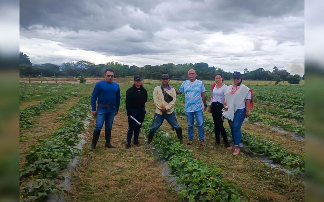 CUNDINAMARCA LE APUESTA A SUSTITUIR EL CARBÓN VEGETAL POR CULTIVOS SOSTENIBLES