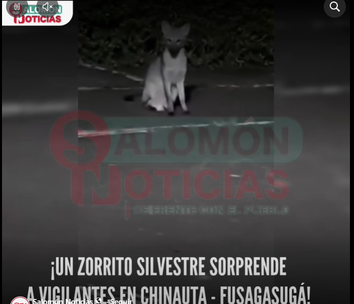 Captura
