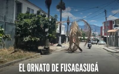 ¡EMSERFUSA, ¿DÓNDE ESTÁN LAS CUADRILLAS?! EL ORNATO DE FUSAGASUGÁ BRILLA… PERO POR SU AUSENCIA